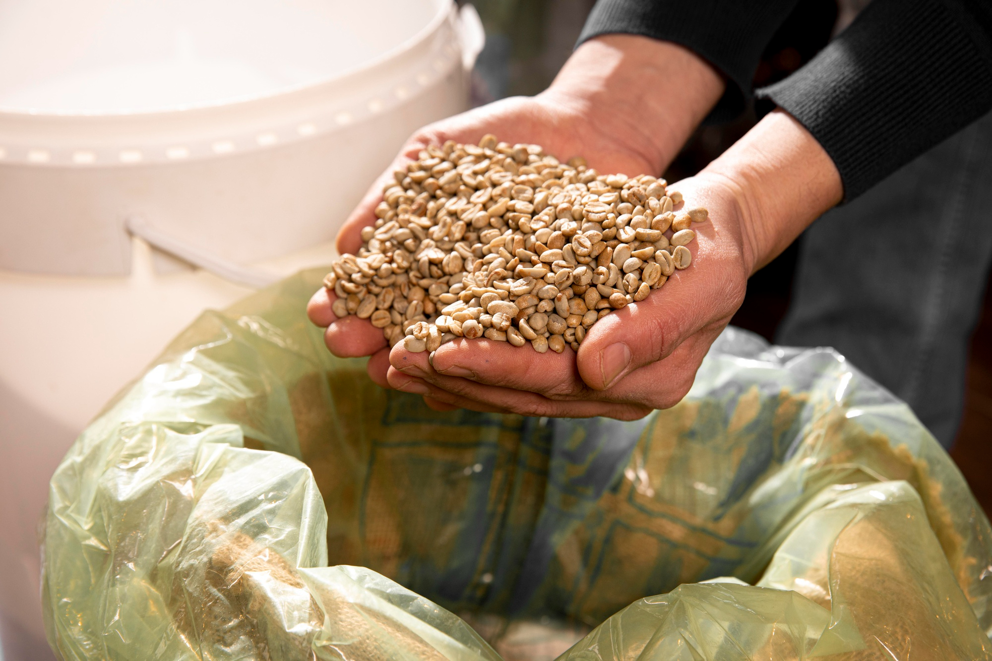Comercialización de Insumos Alimenticios